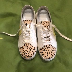 Dolce Vita sneakers